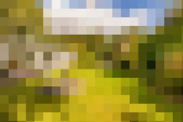 Haas 4 Koekange thumbnail 42
