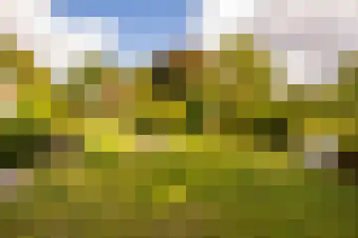 Haas 4 Koekange thumbnail 43