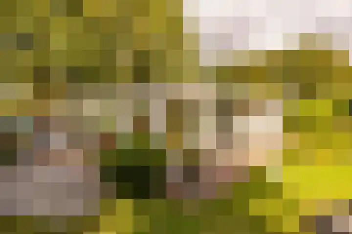 Haas 4 Koekange thumbnail 44
