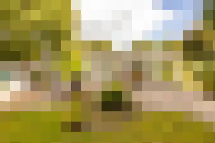 Haas 4 Koekange thumbnail 45