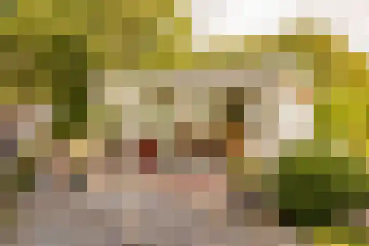 Haas 4 Koekange thumbnail 46