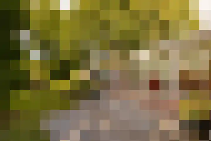 Haas 4 Koekange thumbnail 47