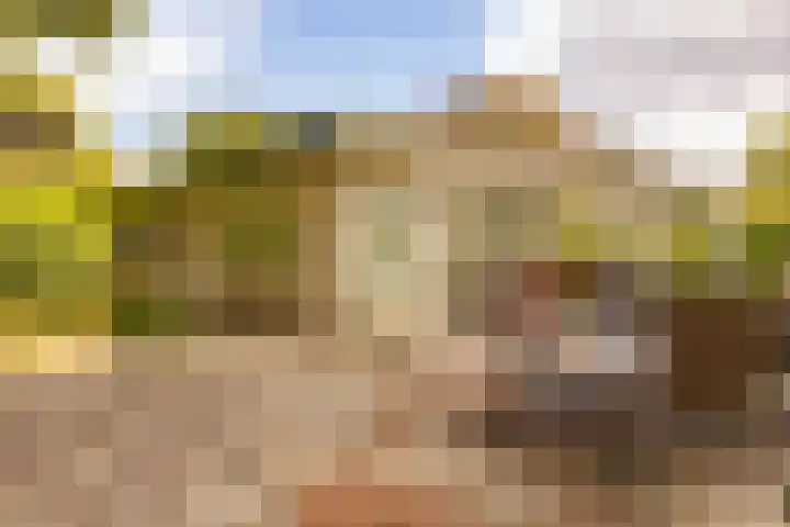 Haas 4 Koekange thumbnail 48