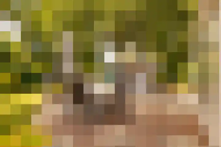 Haas 4 Koekange thumbnail 49