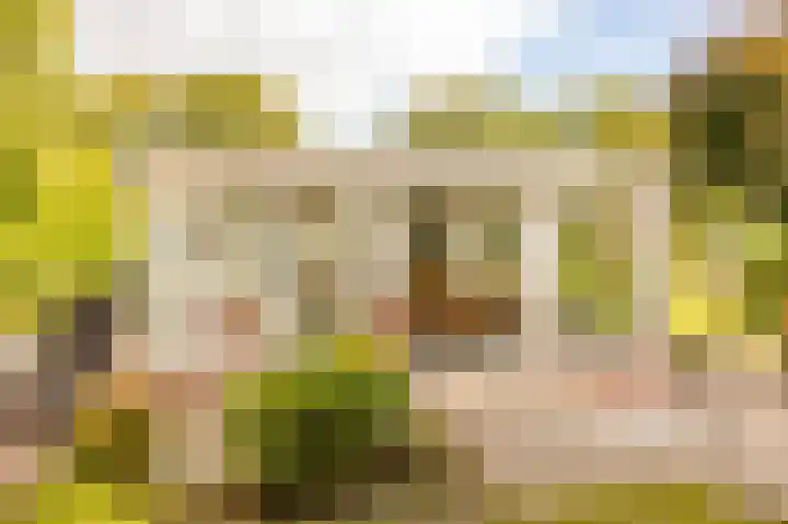 Haas 4 Koekange thumbnail 5