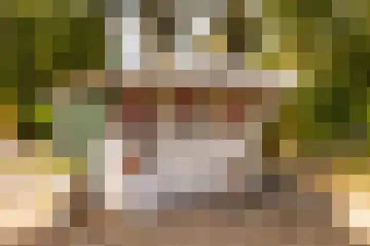 Haas 4 Koekange thumbnail 50