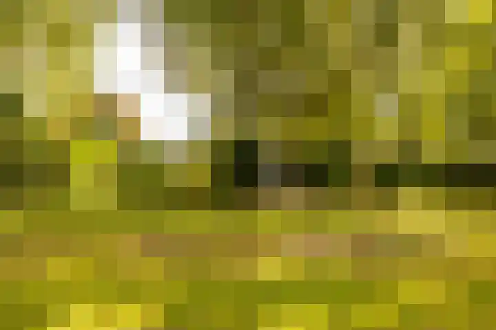 Haas 4 Koekange thumbnail 51