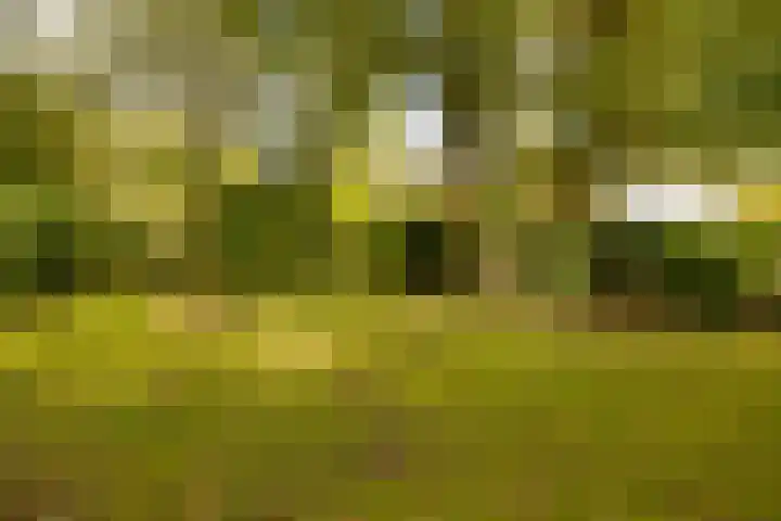 Haas 4 Koekange thumbnail 52