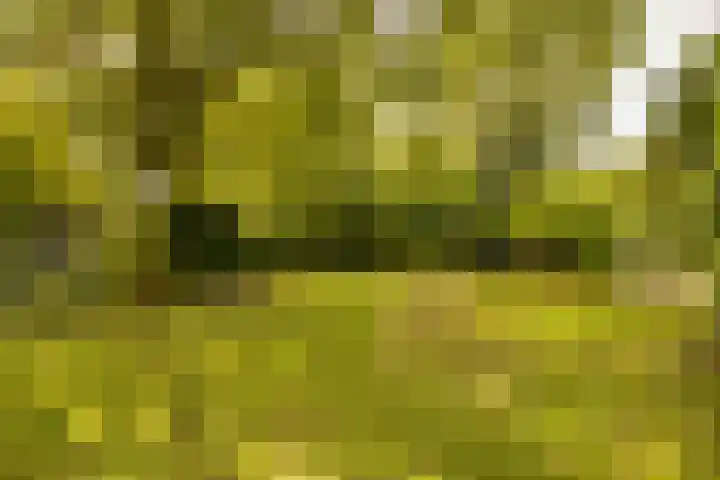 Haas 4 Koekange thumbnail 53