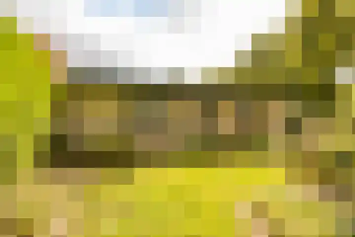 Haas 4 Koekange thumbnail 55
