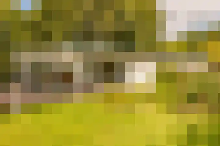 Haas 4 Koekange thumbnail 56