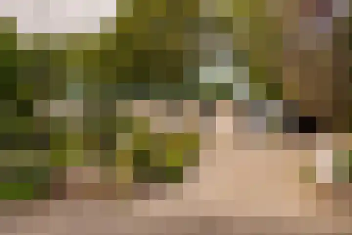 Haas 4 Koekange thumbnail 57