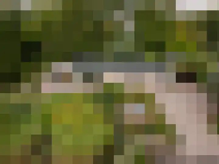 Haas 4 Koekange thumbnail 58