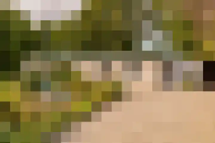 Haas 4 Koekange thumbnail 59