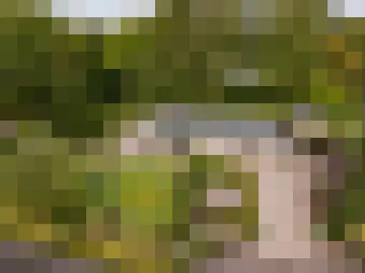 Haas 4 Koekange thumbnail 6