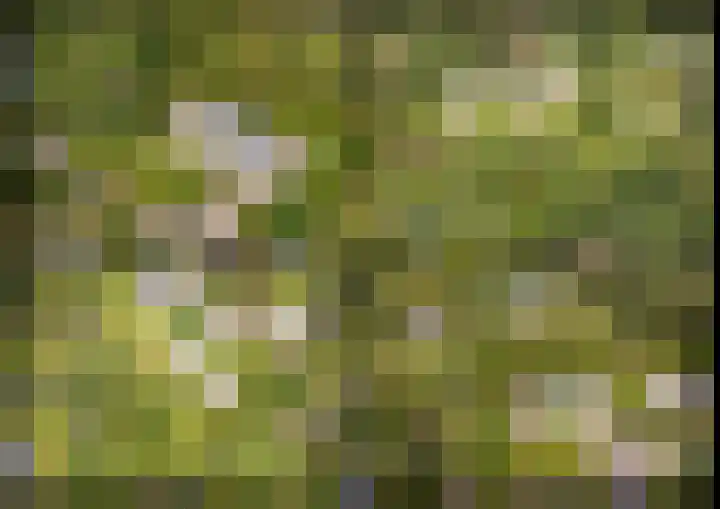 Haas 4 Koekange thumbnail 60