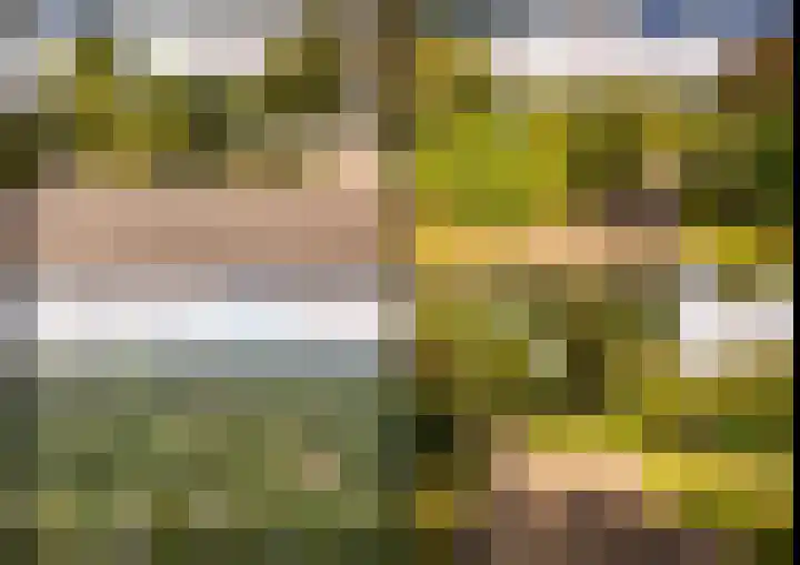Haas 4 Koekange thumbnail 62