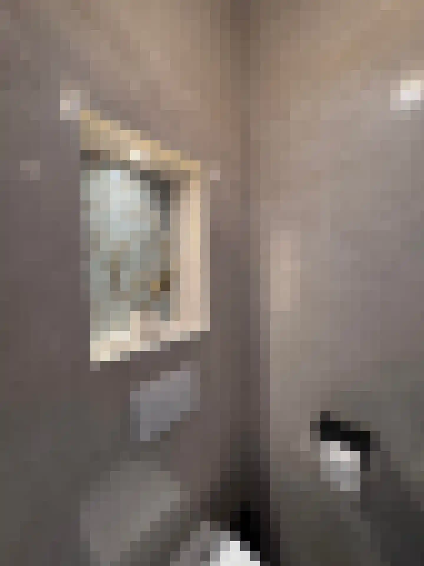Haas 5 Uithoorn thumbnail 5