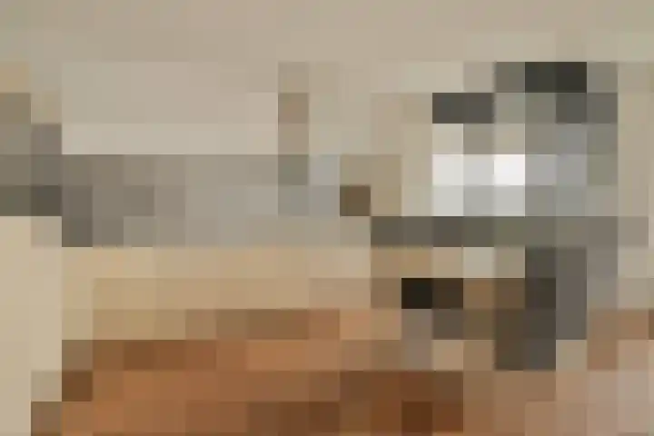 Haas 56 Uithoorn thumbnail 11