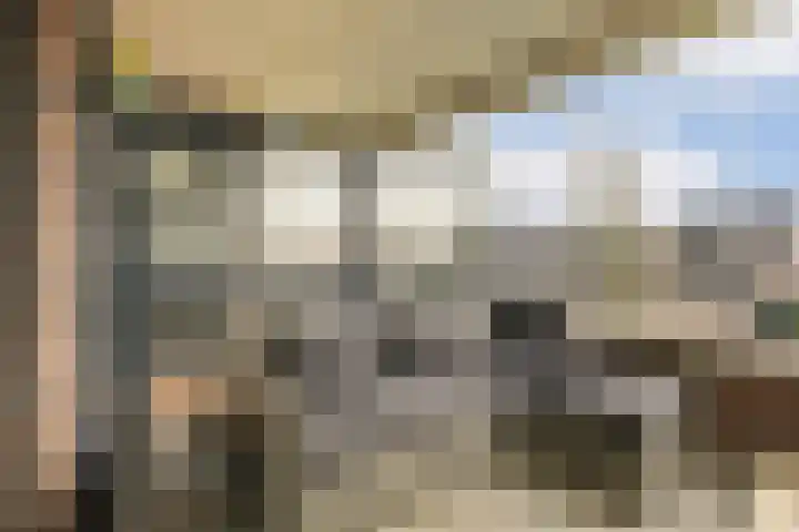 Haas 56 Uithoorn thumbnail 16