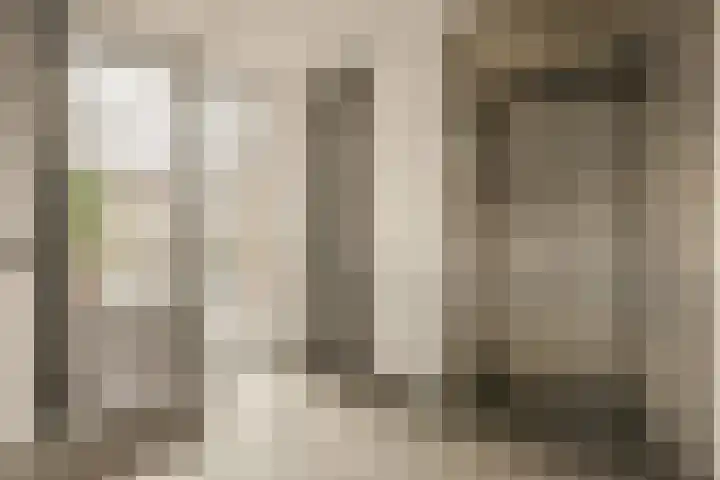 Haas 56 Uithoorn thumbnail 5