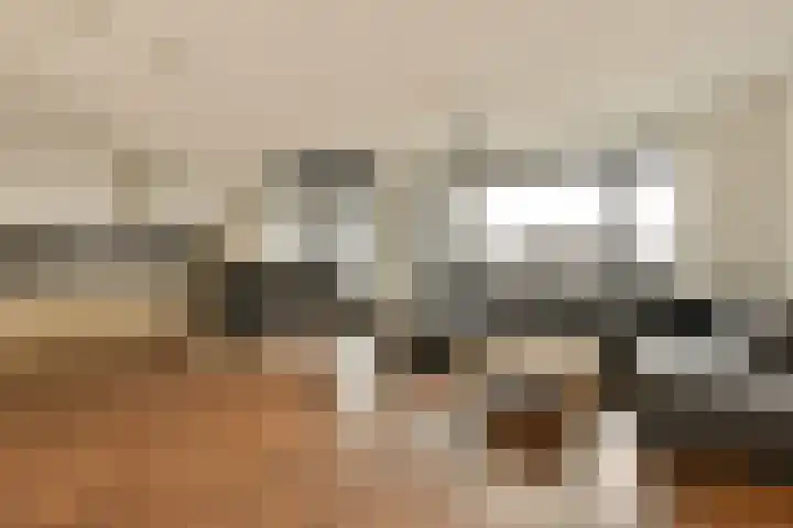 Haas 56 Uithoorn thumbnail 7