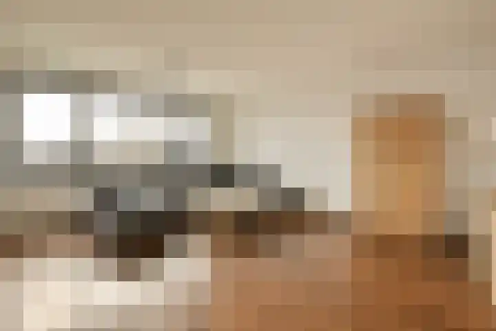 Haas 56 Uithoorn thumbnail 9