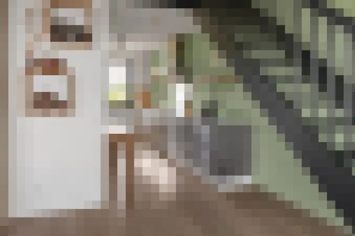 Haas 62 Uithoorn thumbnail 12