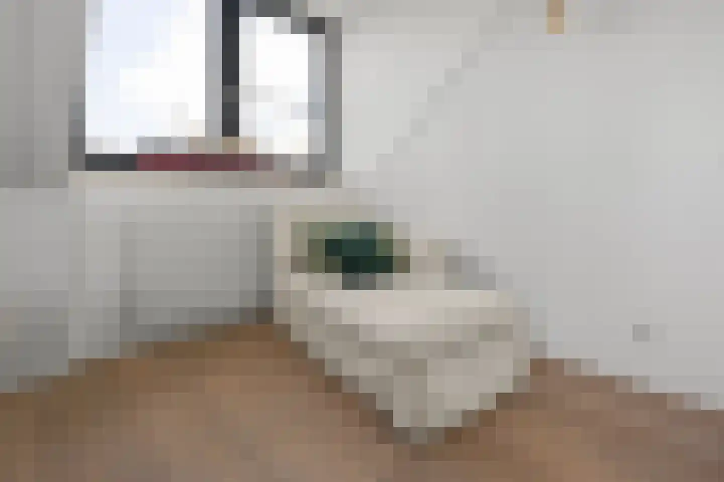 Haas 62 Uithoorn thumbnail 21