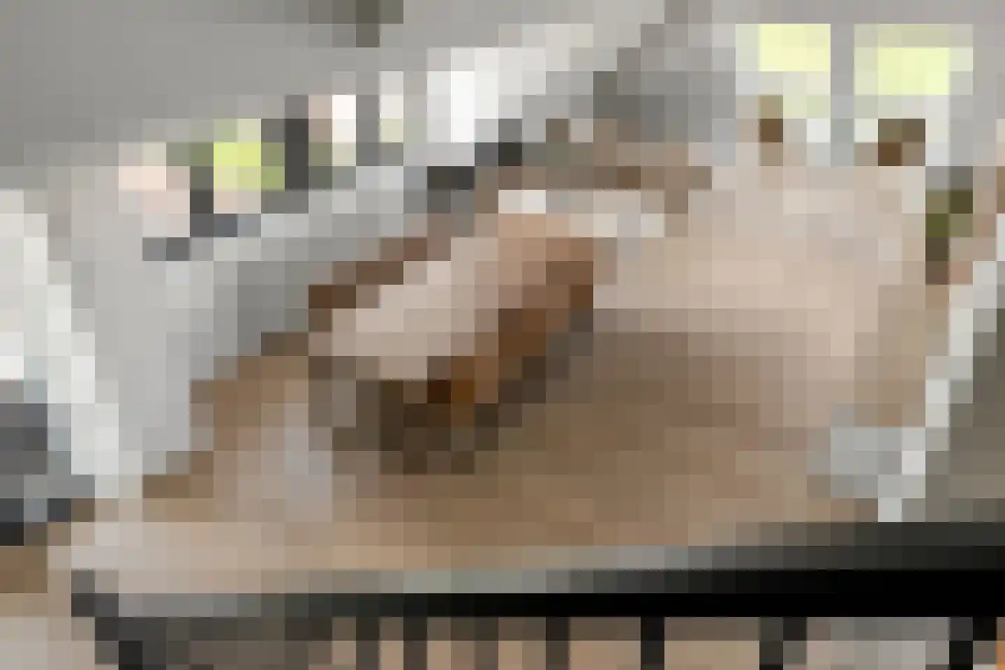 Haas 62 Uithoorn thumbnail 22