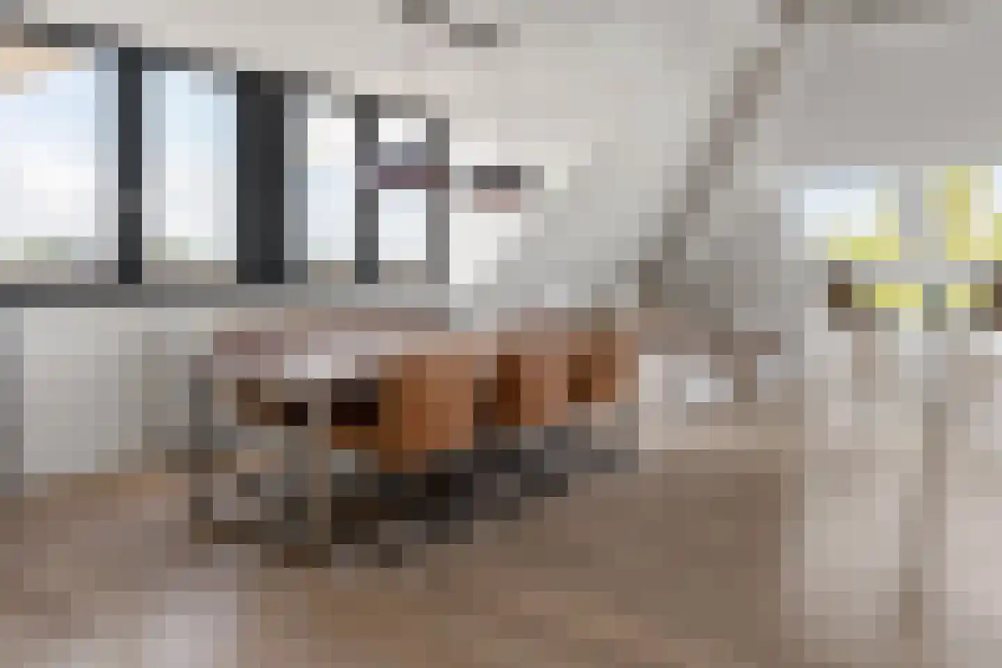 Haas 62 Uithoorn thumbnail 8