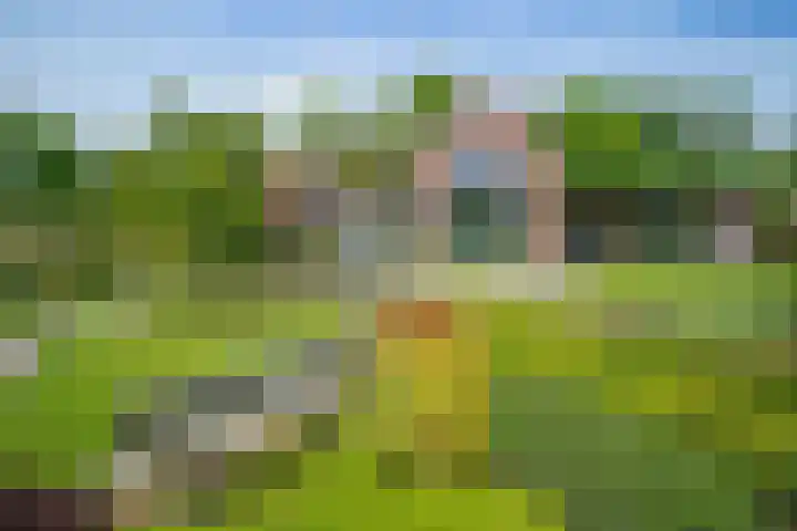 Haasdallerweg 7 Hulsberg thumbnail 6