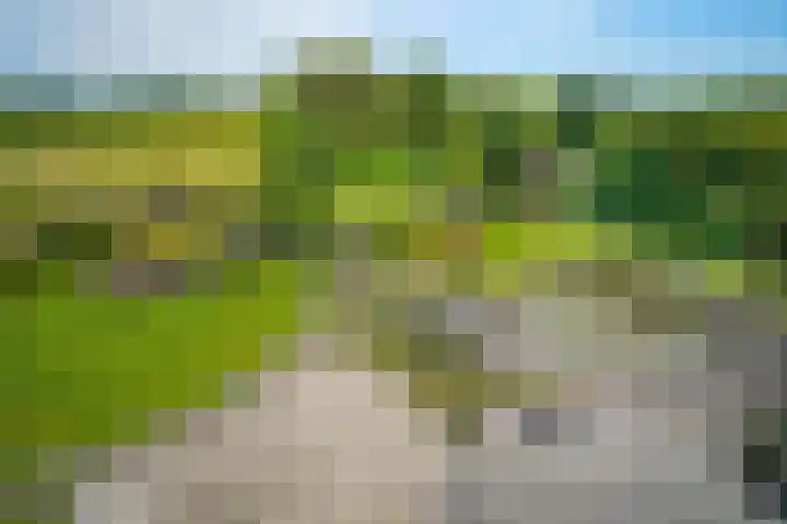 Haasdallerweg 7 Hulsberg thumbnail 8