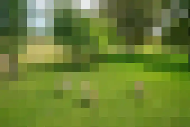 Haasdallerweg 7 Hulsberg thumbnail 9