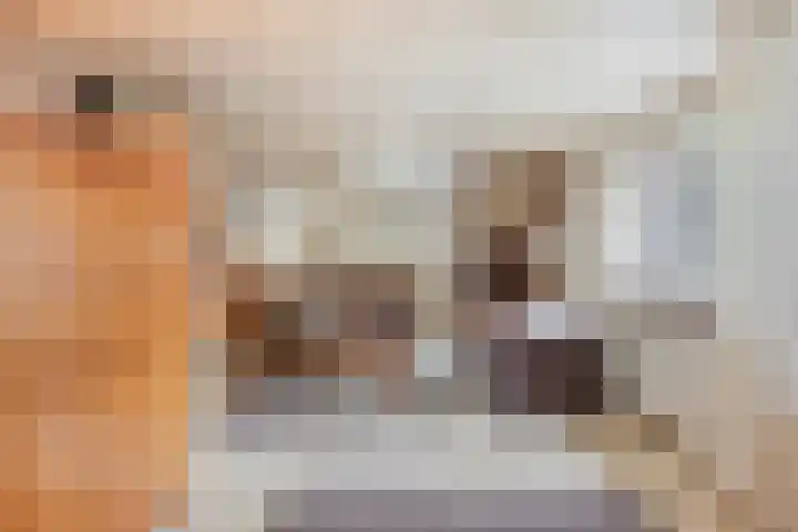 Haasdijk 57 Made thumbnail 11