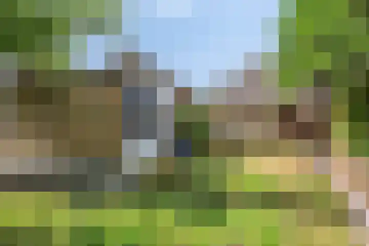 Haasdijk 57 Made thumbnail 21