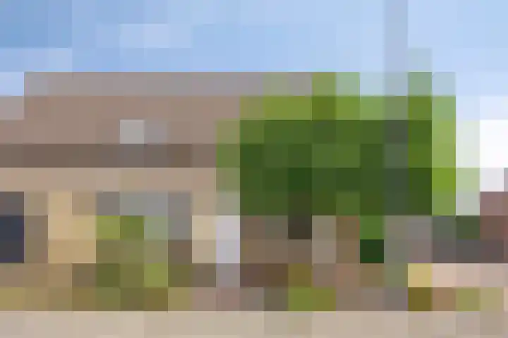 Haasdijk 57 Made thumbnail 22