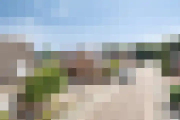 Haasdijk 57 Made thumbnail 25