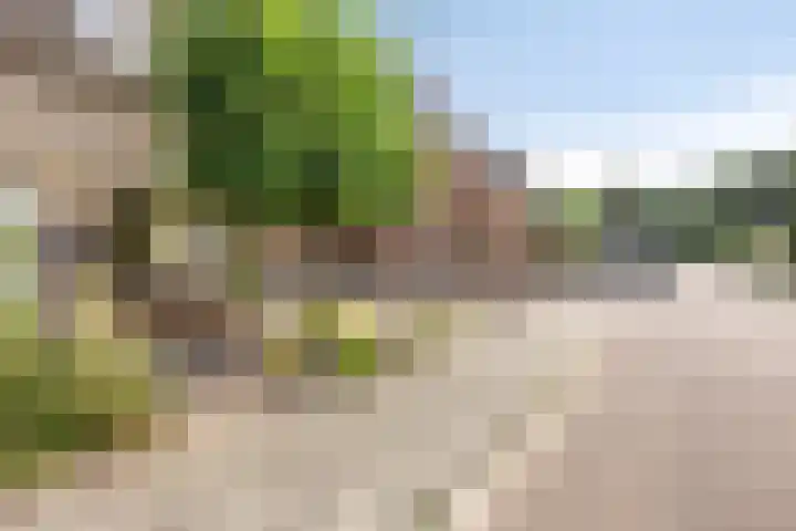 Haasdijk 57 Made thumbnail 26