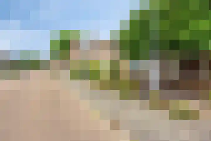 Haasdijk 57 Made thumbnail 27