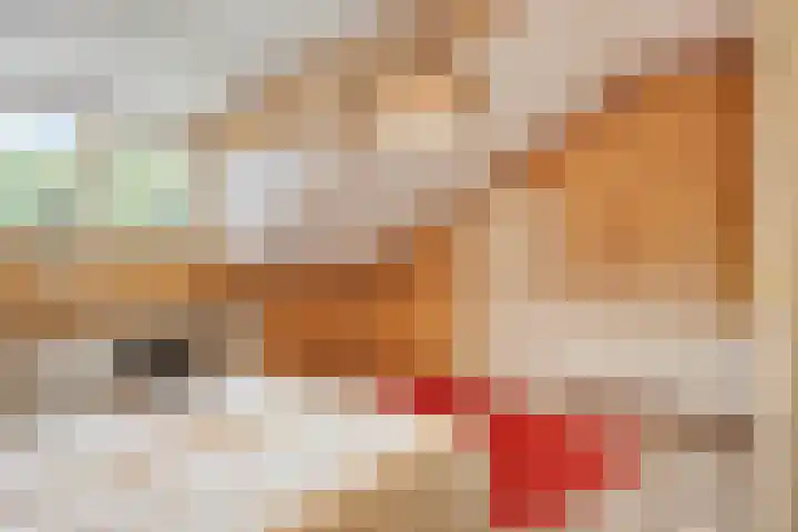 Haasdijk 57 Made thumbnail 30