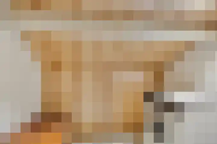Haasdijk 57 Made thumbnail 37