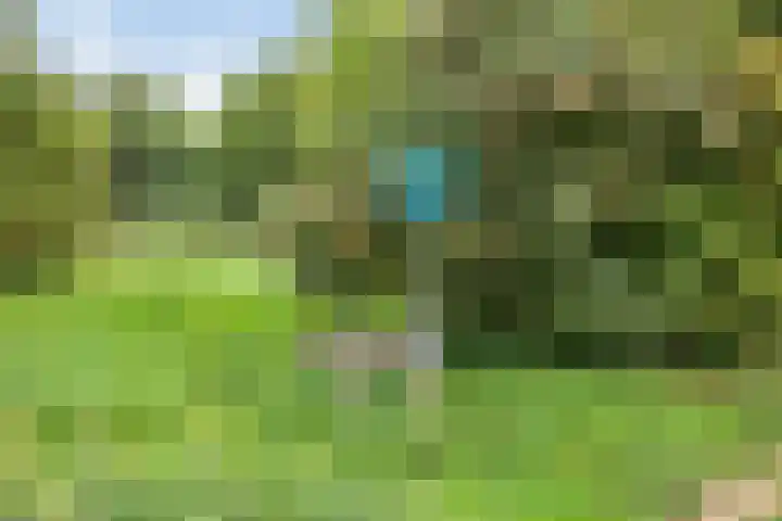 Haasdijk 57 Made thumbnail 41