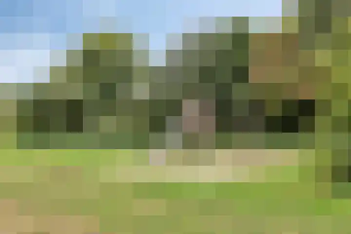 Haasdijk 57 Made thumbnail 43