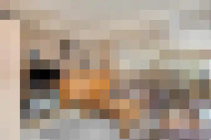 Haasdijk 57 Made thumbnail 8