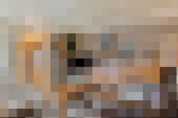 Haasdijk 57 Made thumbnail 9