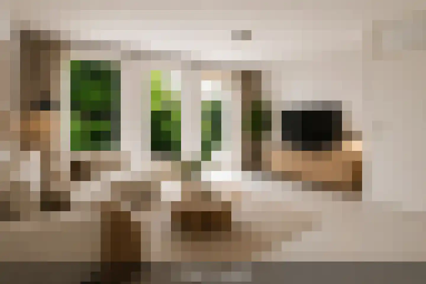 Haasdonk 7 Amersfoort thumbnail 12