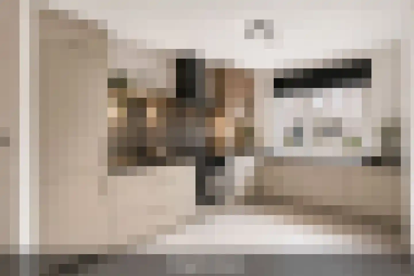 Haasdonk 7 Amersfoort thumbnail 17