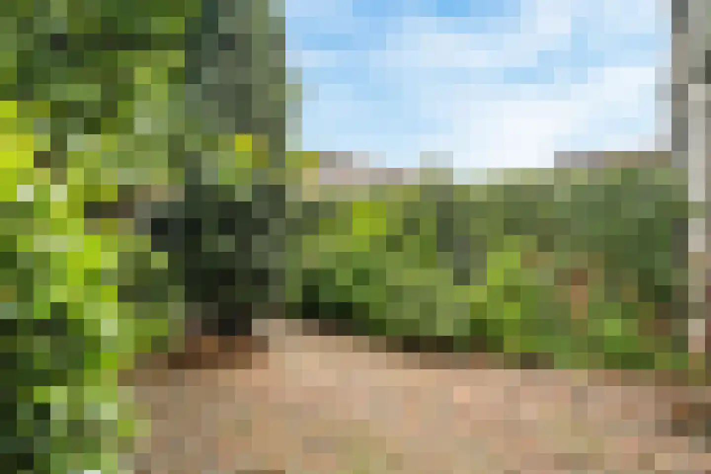 Haasdonk 7 Amersfoort thumbnail 32