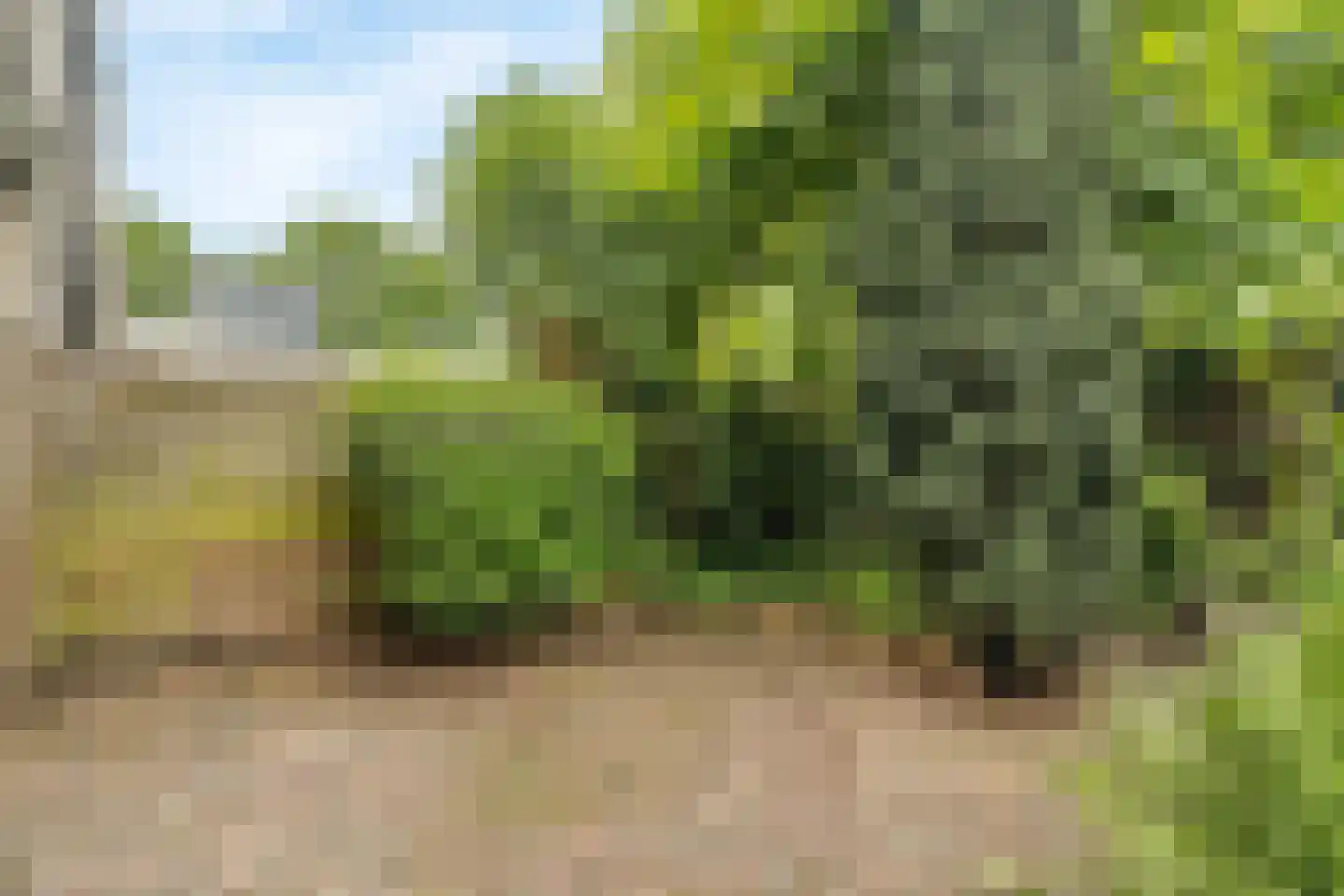 Haasdonk 7 Amersfoort thumbnail 33